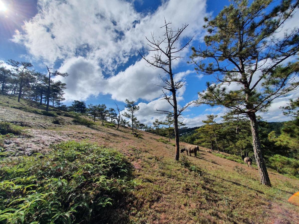 Mon Bac Home Dalat Luaran gambar