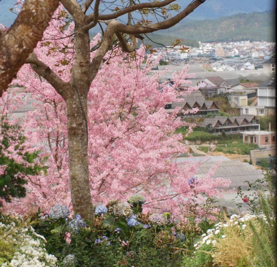 Mon Bac Home Dalat Luaran gambar